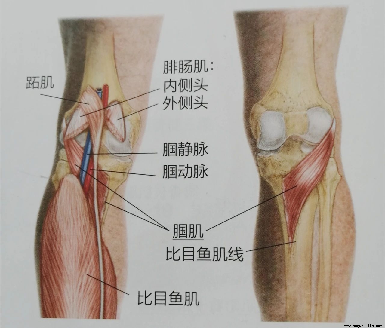 ����,ϥ�ؽ���ʹ