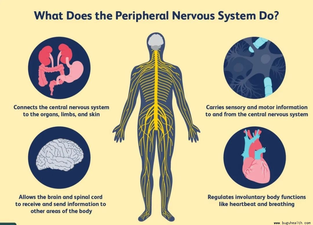 ���ǣ�����ѵ��