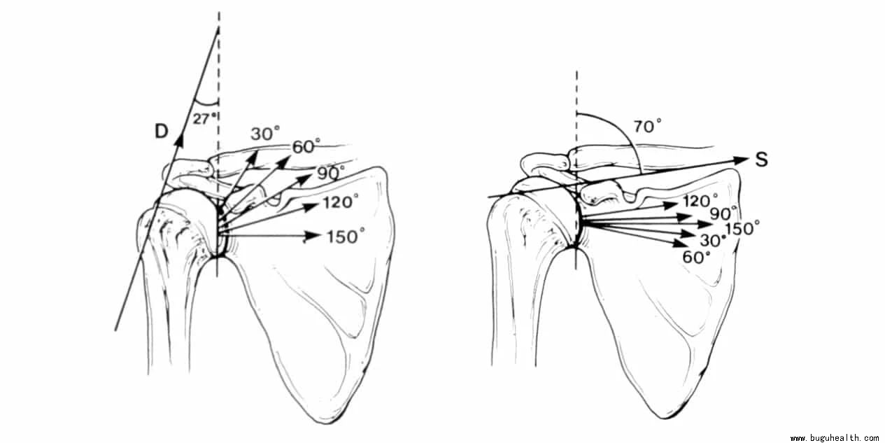 ���ǣ���������