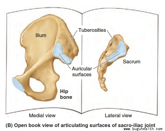 ���ǣ����Ĺؽ�ʹ