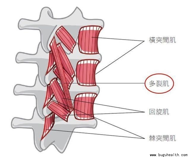 ���ǣ���ʹ��������ʹ