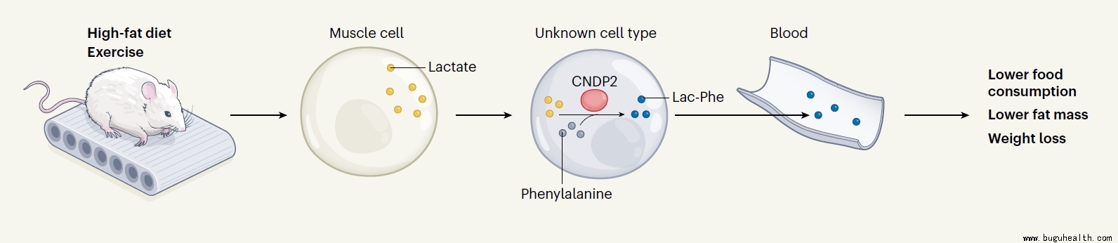 ���ǣ��˶���Ԥ������