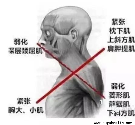 ���ǣ����Ծ�ʹ