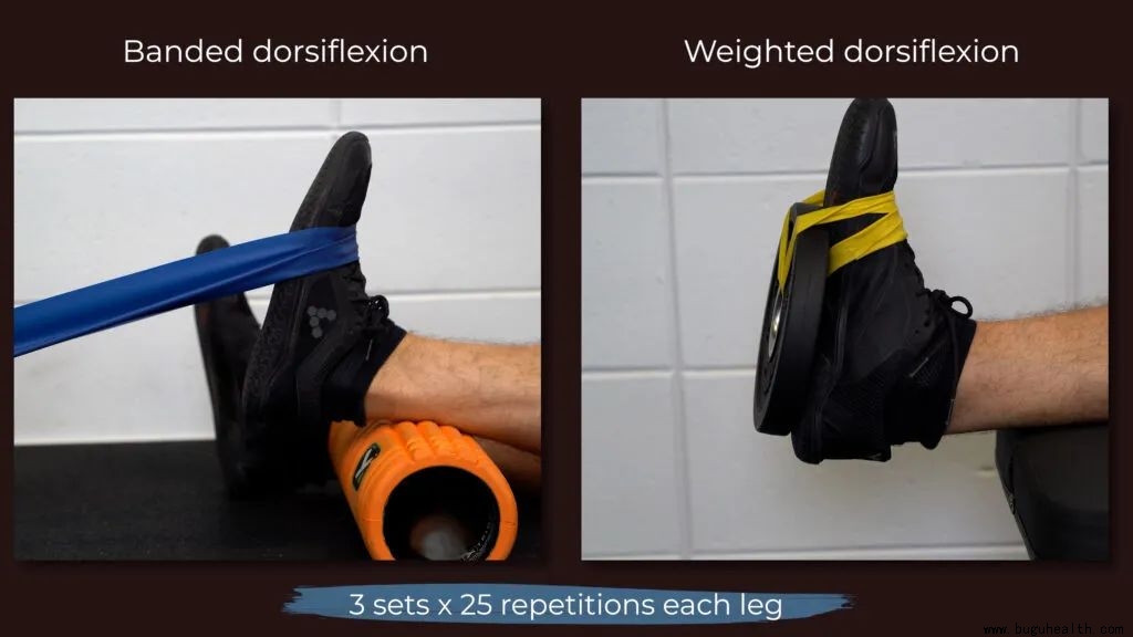 布骨,踝关节扭伤,慢性踝关节不稳 布骨,踝关节扭伤,慢性踝关节不稳