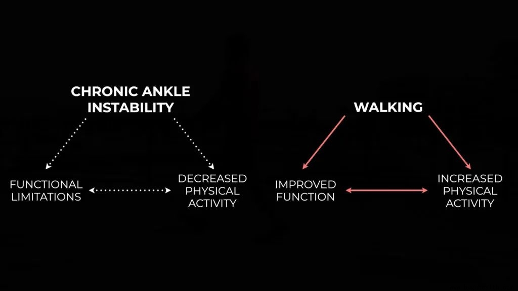 布骨,踝关节扭伤,慢性踝关节不稳 布骨,踝关节扭伤,慢性踝关节不稳