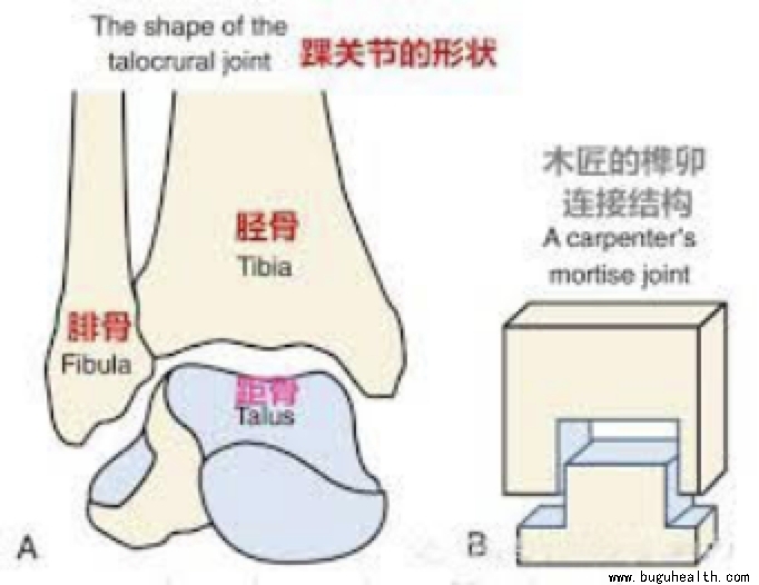 ���ǣ��������ˣ����׿���