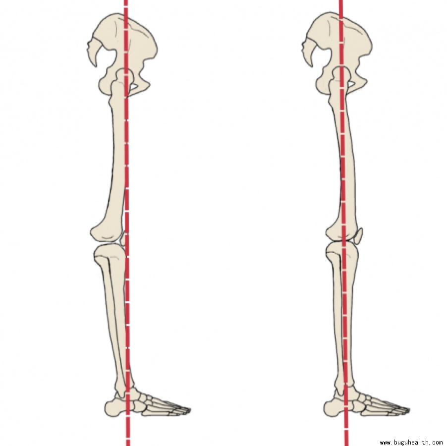 ���ǣ��������ˣ����׿���