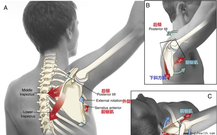 ���ǣ�ǰ�⼡����