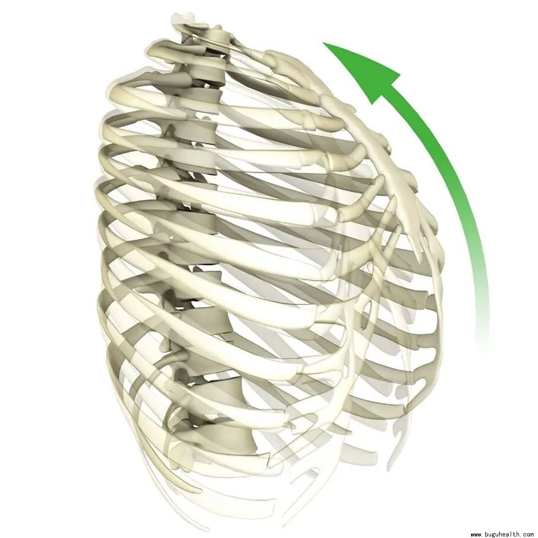 ���ǣ�ǰ�⼡ѵ��