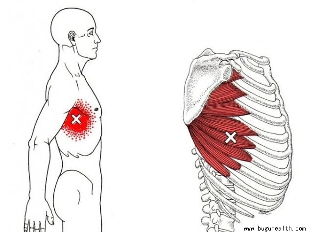 ���ǣ�ǰ�⼡ѵ��