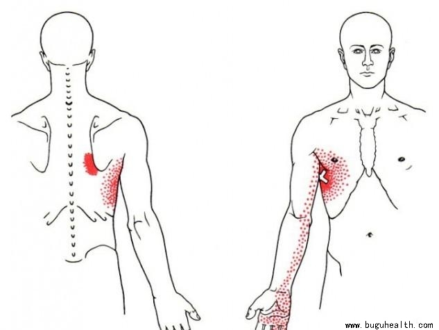 ���ǣ�ǰ�⼡ѵ��