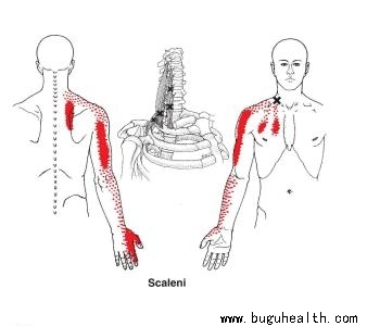 ���ǣ�������ʹ