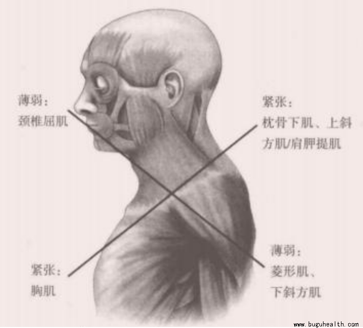 ���ǣ������˶�