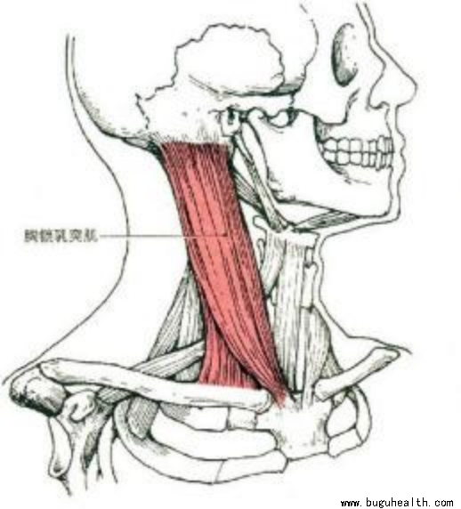 ���ǣ������˶�