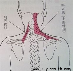 ���ǣ������˶�