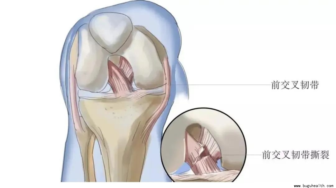 ����ҽ�ƣ����󿵸���ǰ�����ʹ�������ҽѧ���գ����ǿ���