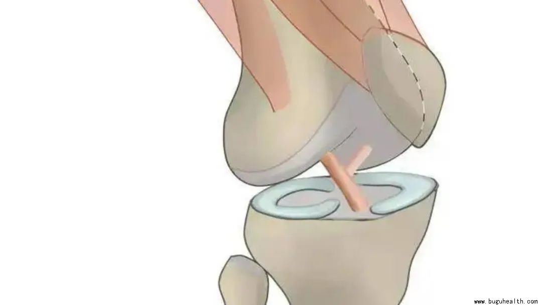 ����ҽ�ƣ����󿵸���ǰ�����󣬲���ҽѧ���գ����ǿ���