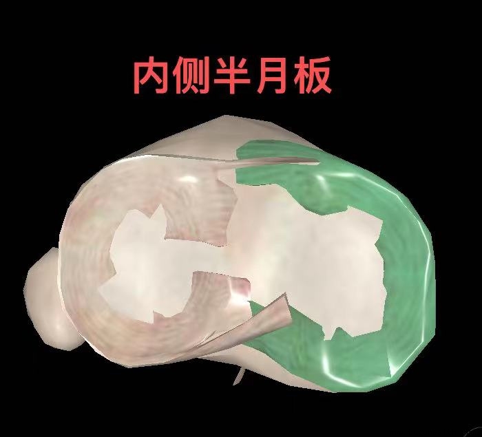 ���ǿ��������°�