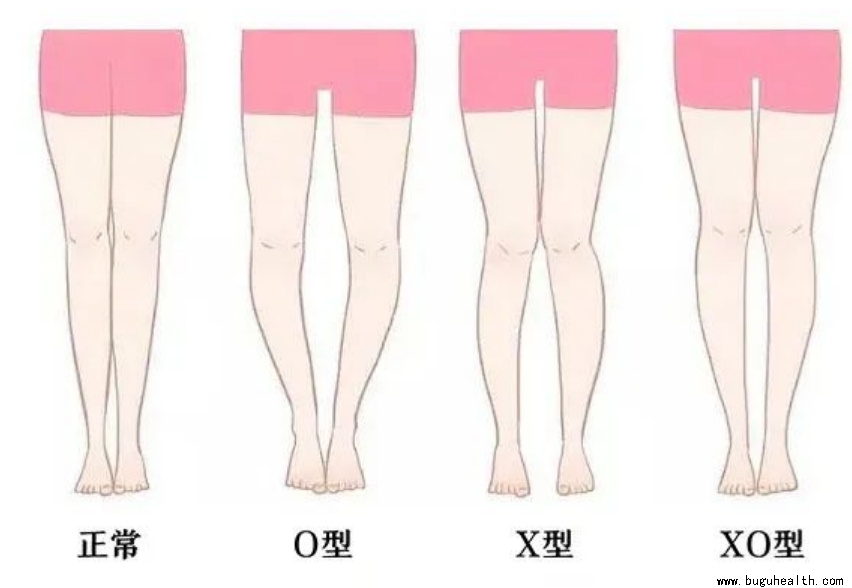 ����ҽѧ���ա�ϥ�ؽڡ�ϥ���졢���ǿ���