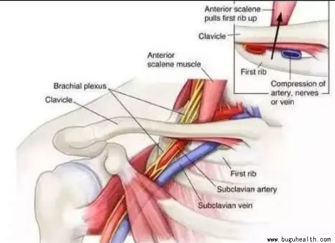 ����ҽѧ���ա����ǿ��������ǿ���