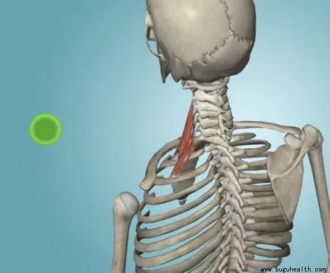 ����ҽѧ���ա����ǿ��������ǿ���