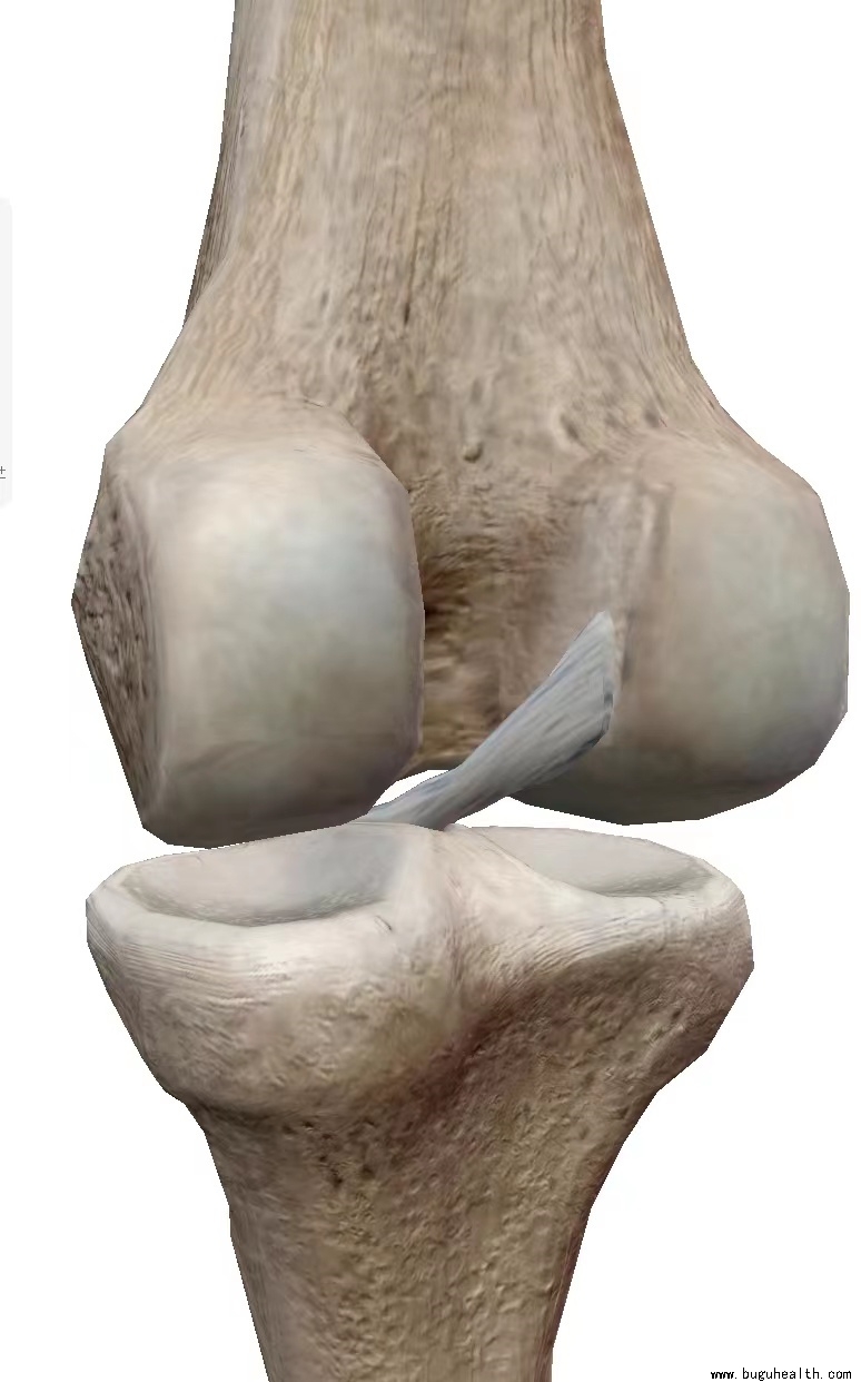 ����ҽѧ���ա����ǿ��������ǿ���