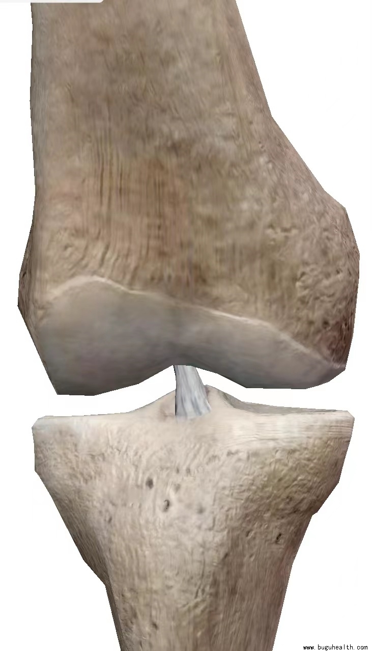 ����ҽѧ���ա����ǿ��������ǿ���