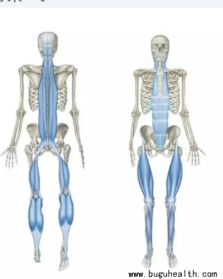 ����ҽѧ���ա����ǿ��������ǿ���