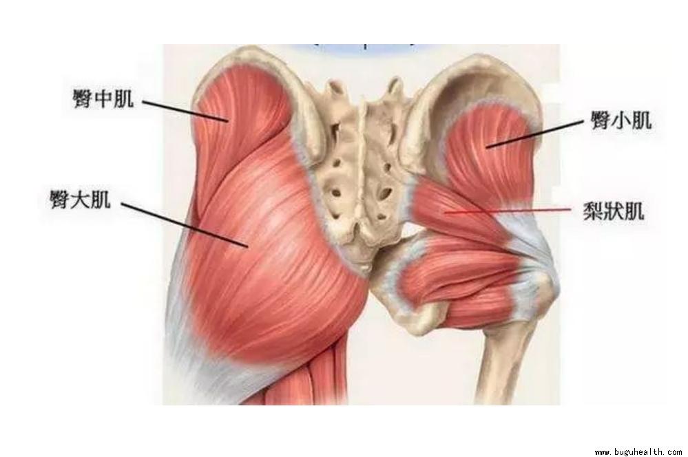 ����ҽѧ���ա����ǿ��������ǿ���