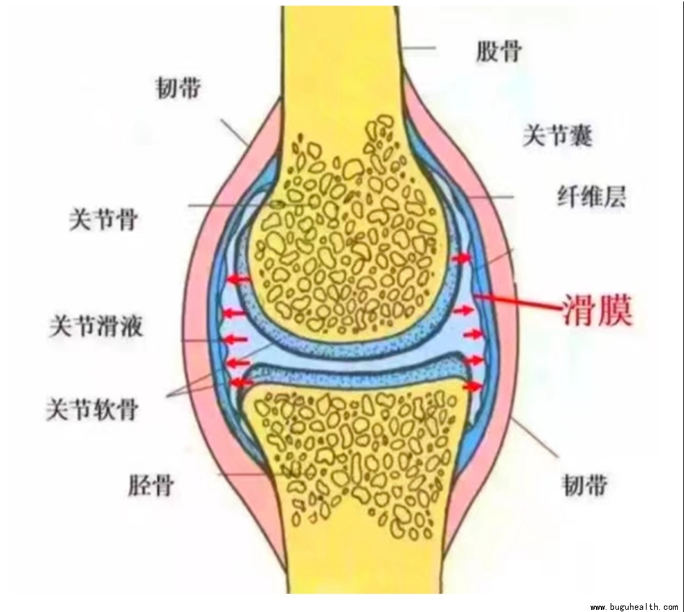 ����ҽѧ���ա����ǿ��������ǿ�������Ĥ��