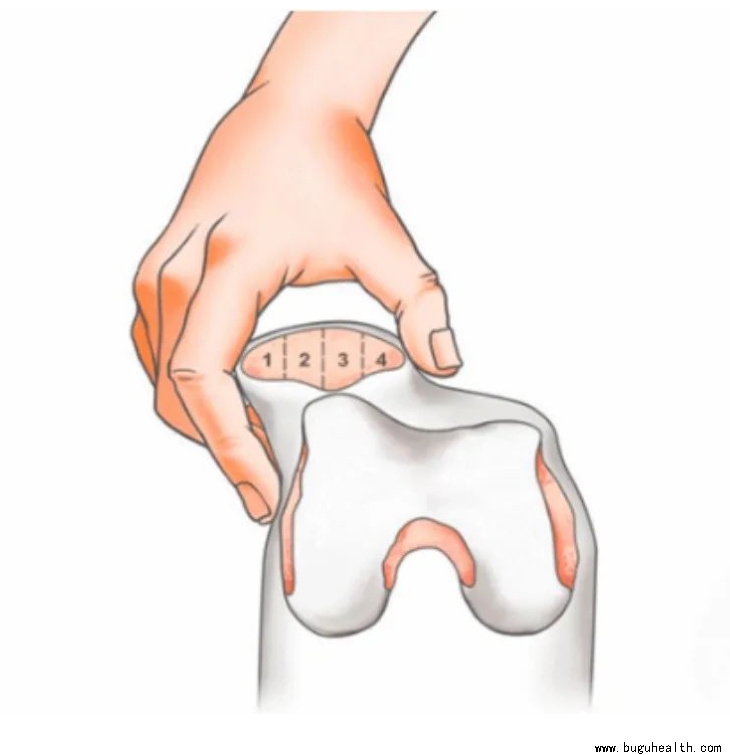 ����ҽѧ���ա����ǿ��������ǿ������ƹ�����