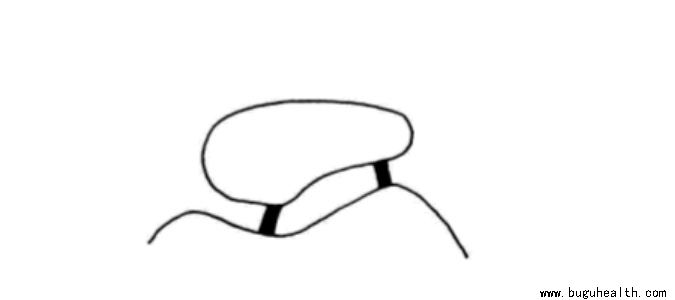 ����ҽѧ���ա����ǿ��������ǿ���