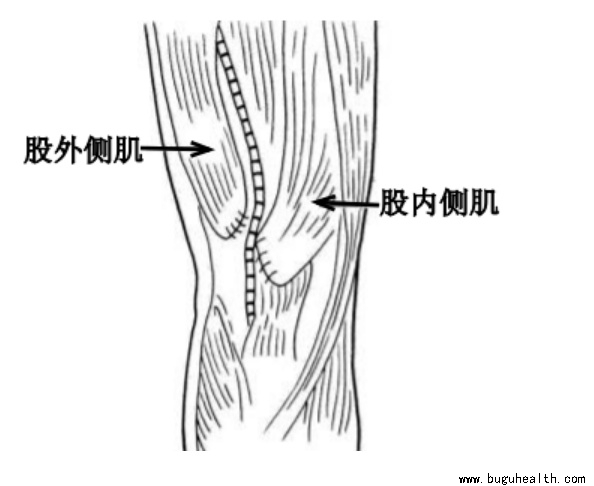 ����ҽѧ���ա����ǿ��������ǿ���