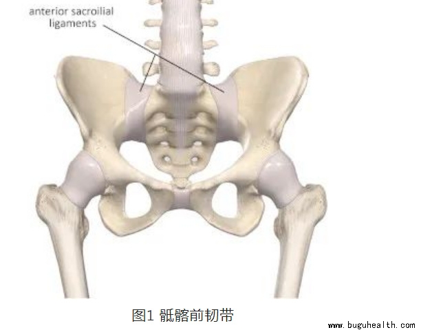 ����ҽѧ���ա����ǿ��������ǿ���