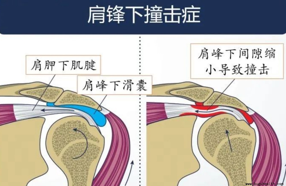 ����ҽѧ���ա����ǿ��������ǿ���