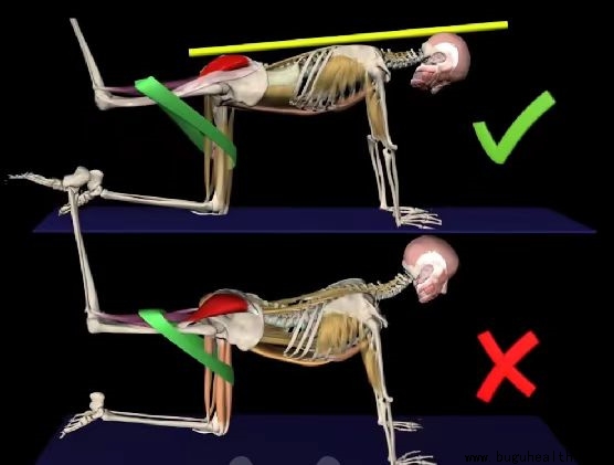 ����ҽѧ���ա����ǿ��������ǿ���