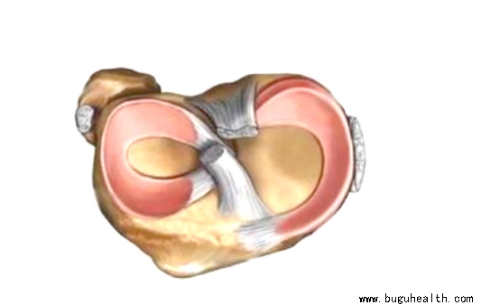 布骨医学科普、肌骨康复、布骨康复 布骨医学科普、肌骨康复、布骨康复