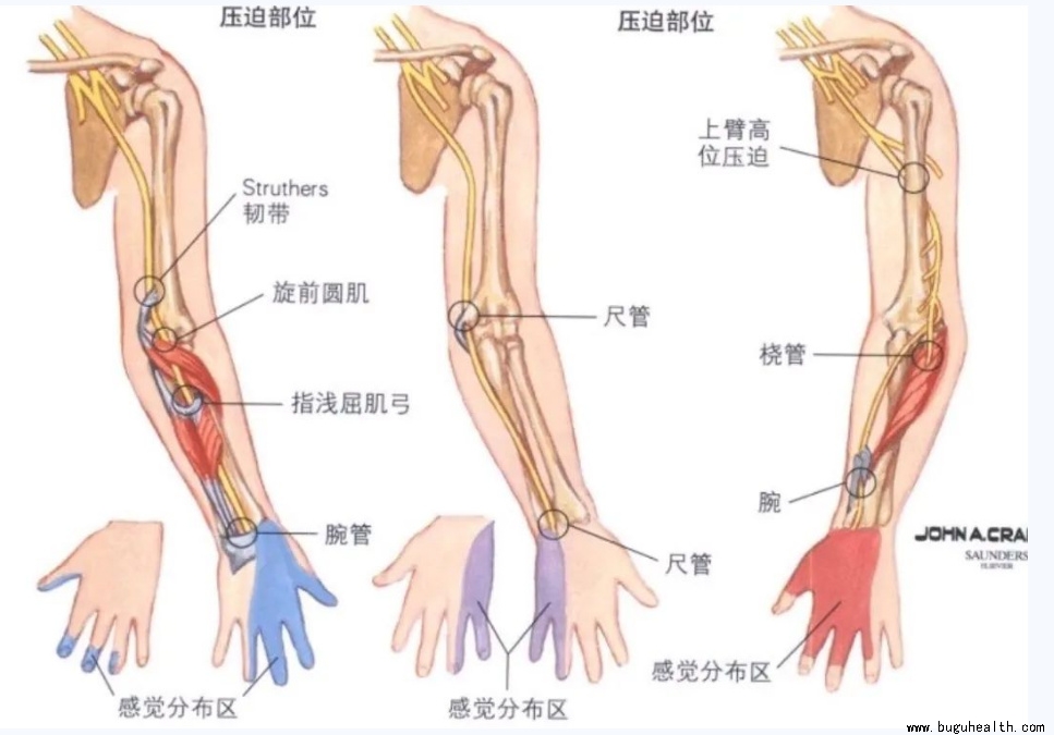 ����ҽѧ���ա����ǿ��������ǿ���