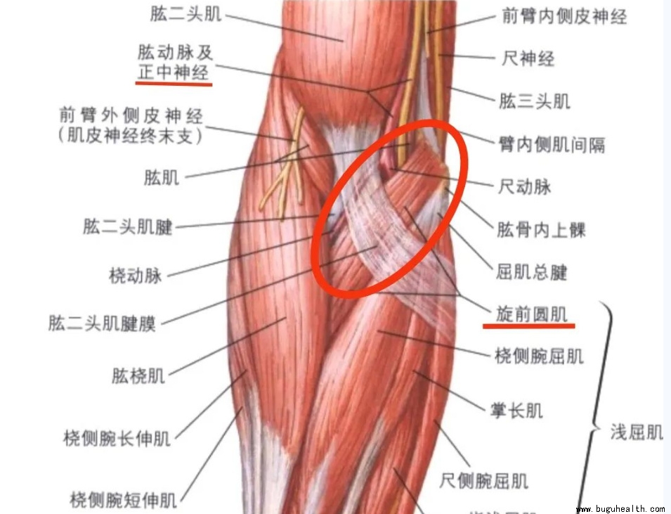 ����ҽѧ���ա����ǿ��������ǿ���