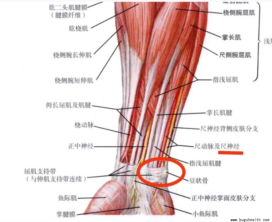 ����ҽѧ���ա����ǿ��������ǿ���