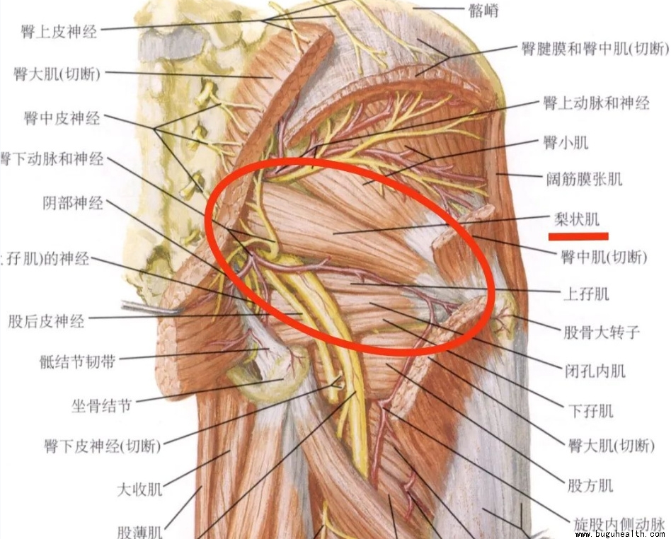 ����ҽѧ���ա����ǿ��������ǿ���