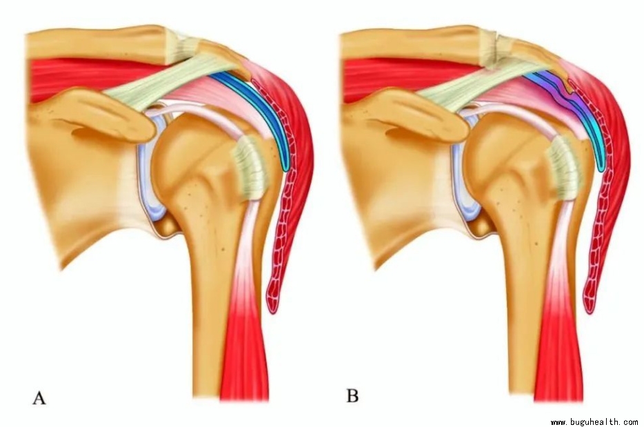 ����ҽѧ���ա����ǿ��������ǿ���