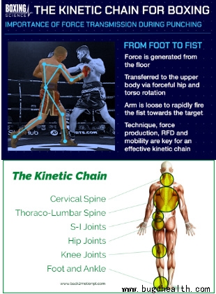 布骨医学科普、肌骨康复、布骨康复 布骨医学科普、肌骨康复、布骨康复