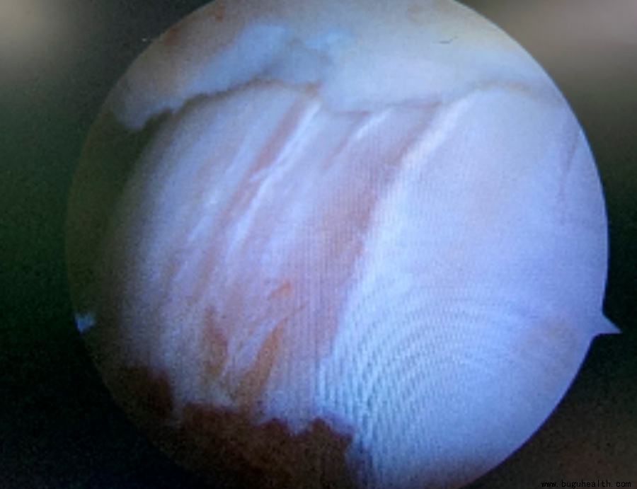 ����ҽѧ���ա����ǿ��������ǿ���