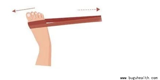 ����ҽѧ���ա����ǿ��������ǿ������˽�