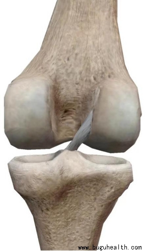 �������ǿ�������