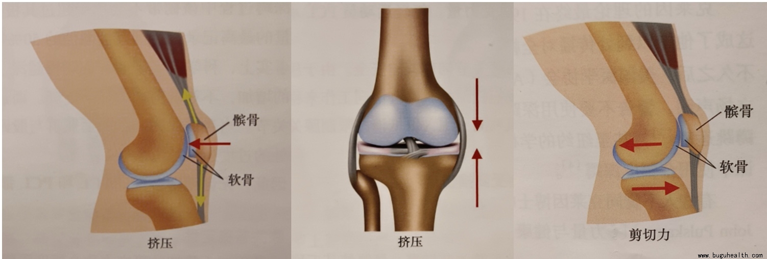 ���ǣ�ϥ�ؽڿ���