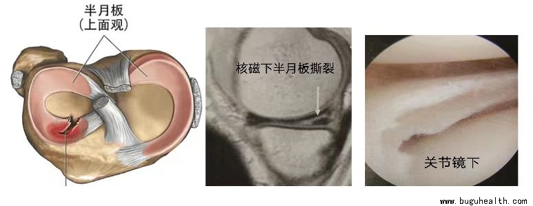 �������ǿ������ģ����°�����