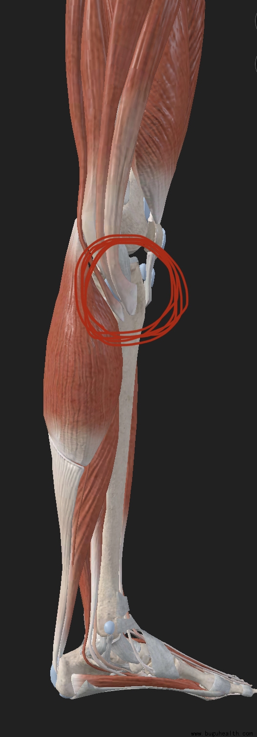 ����ҽѧ���ա����ǿ��������ǿ���