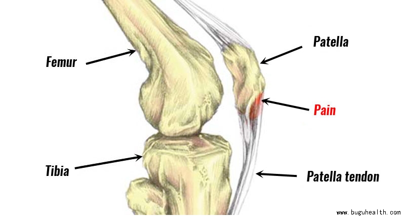 ����ҽѧ���ա����ǿ��������ǿ���